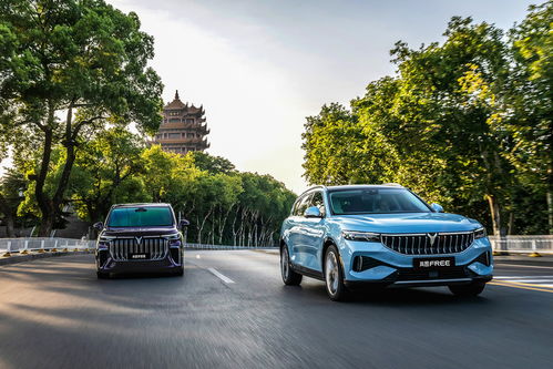 嵐圖汽車 人事結(jié)構(gòu)優(yōu)化促銷量增長(zhǎng)，7月市場(chǎng)表現(xiàn)亮眼