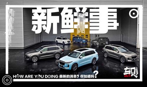 理想汽車產品規劃曝光 5款車型蓄勢待發，起售價或低至24.98萬